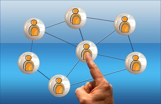 -体育新闻中心联合高校开展体育传媒创新创业大赛，体育产业创新创业大赛