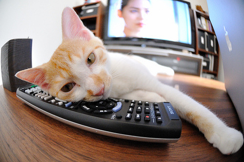 拜仁战术思维已趋于欧洲一线俱乐部标准,拜仁的进攻体系