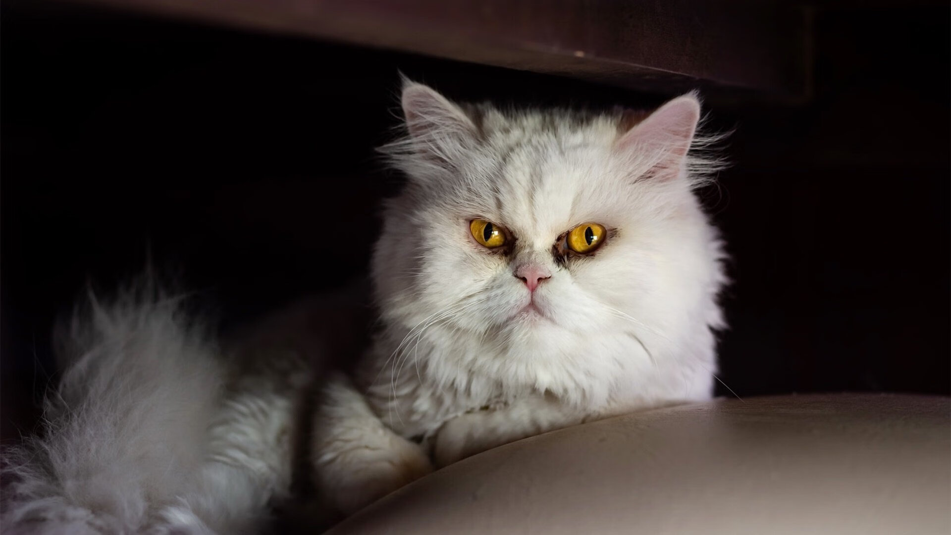 青训中心设施使用率严重不足,青训中心设施使用率严重不足的原因