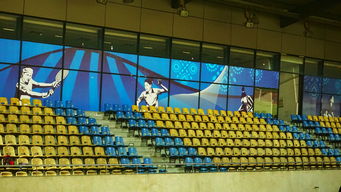 爱游戏app下载-巴西青训体系持续投入，未来足球天才持续涌现