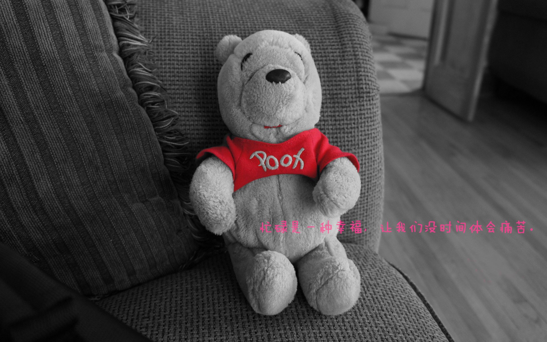 爱游戏娱乐-张伟丽状态回归巅峰格斗冠军赛，张伟丽最新格斗比赛视频