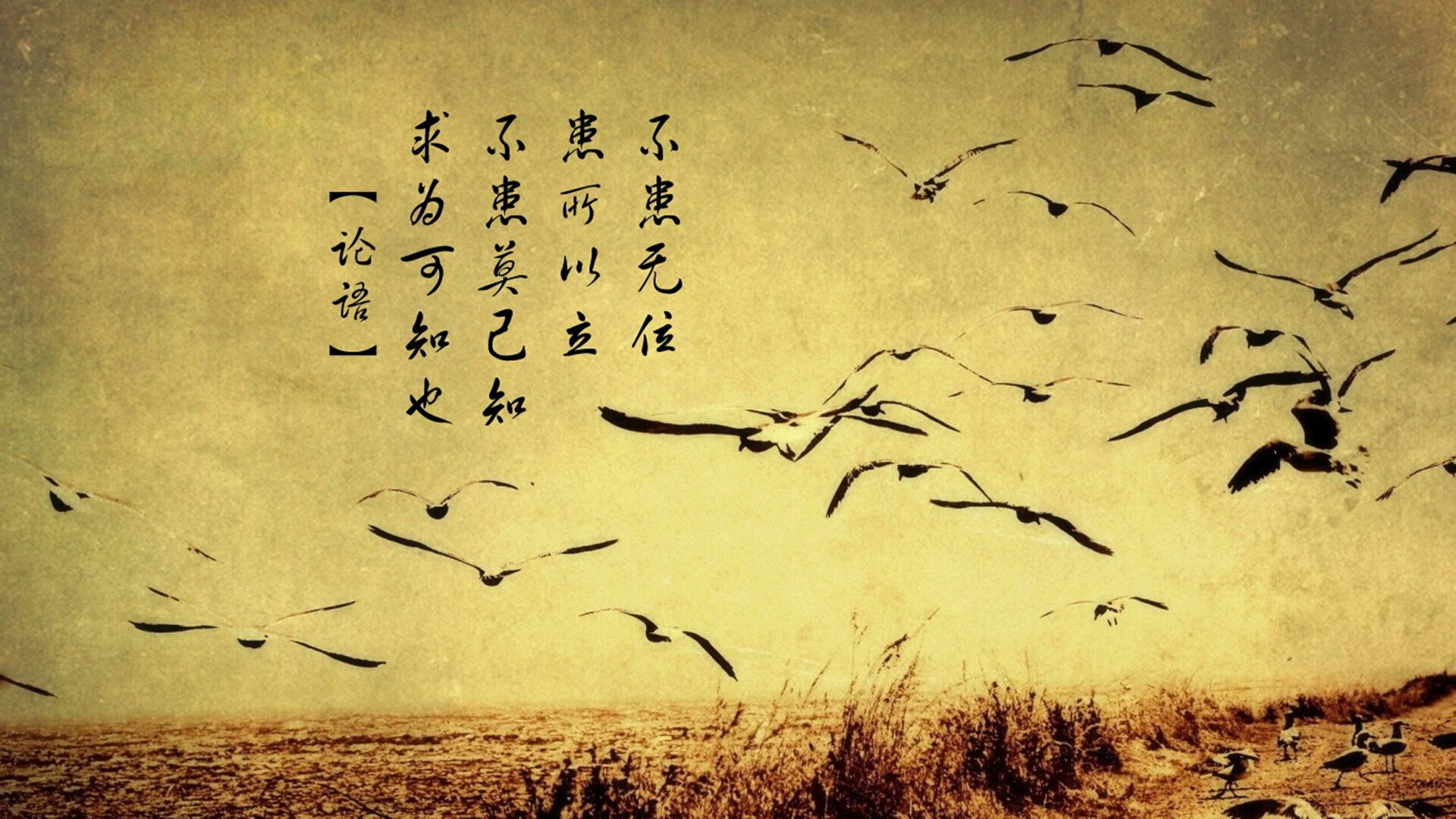 爱游戏体育-掘金社交账号发布幕后花絮展示球员生活，掘金贴吧