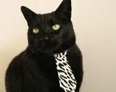 澳大利亚袋鼠队的防守反击,关键时刻掀起转折,澳大利亚袋鼠问题