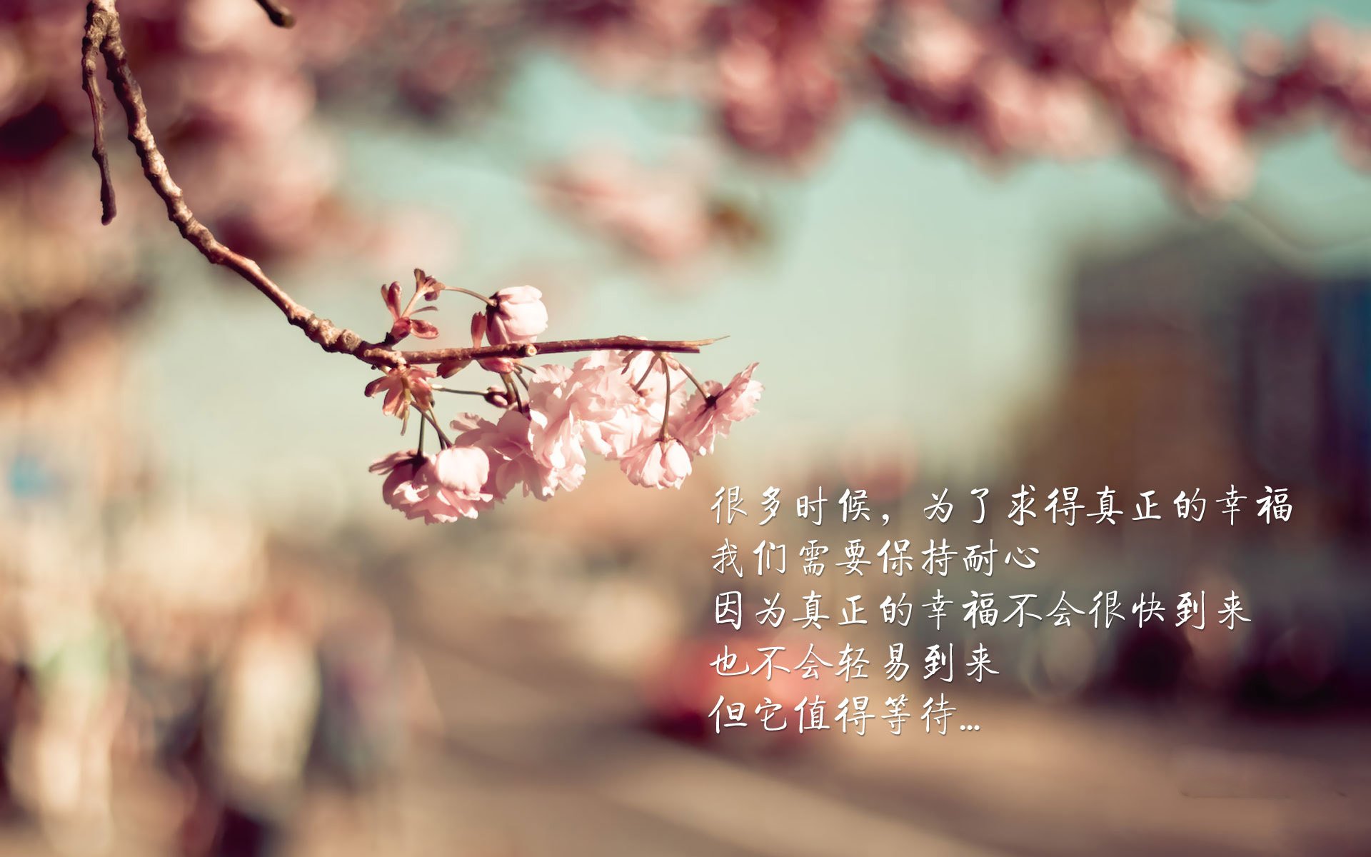 英超赛场奇迹:从绝望到喜悦的逆转传奇,英超比赛记录