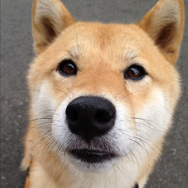 AYX SPORTS-雷霆新赛季主题活动启动强调青年力量崛起，雷霆本赛季