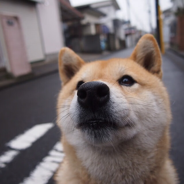爱游戏体育-马拉松赛事天气预报提醒选手注意调整，马拉松恶劣天气