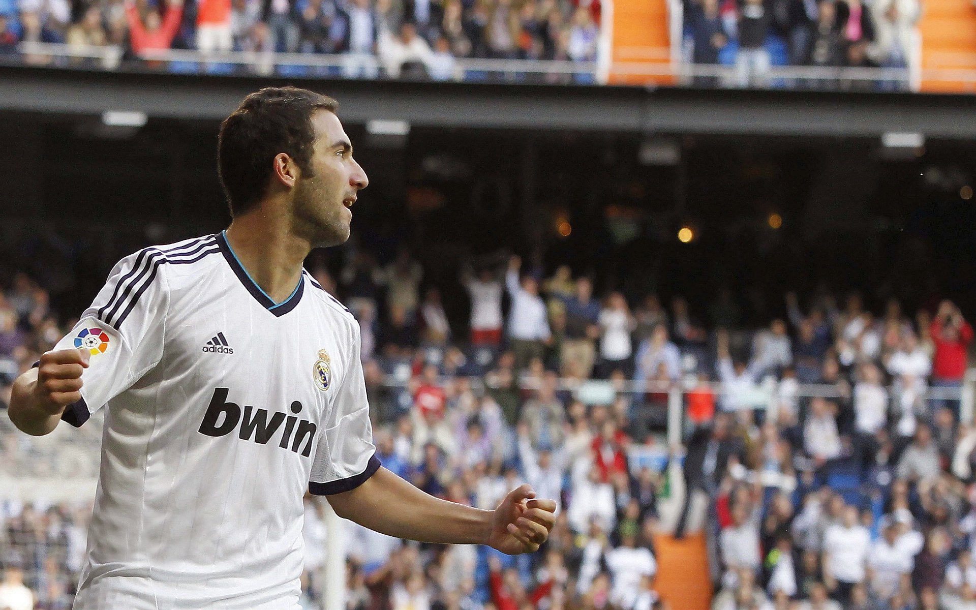 _极地赛场：极限运动的特殊体验_，极地竞技赛