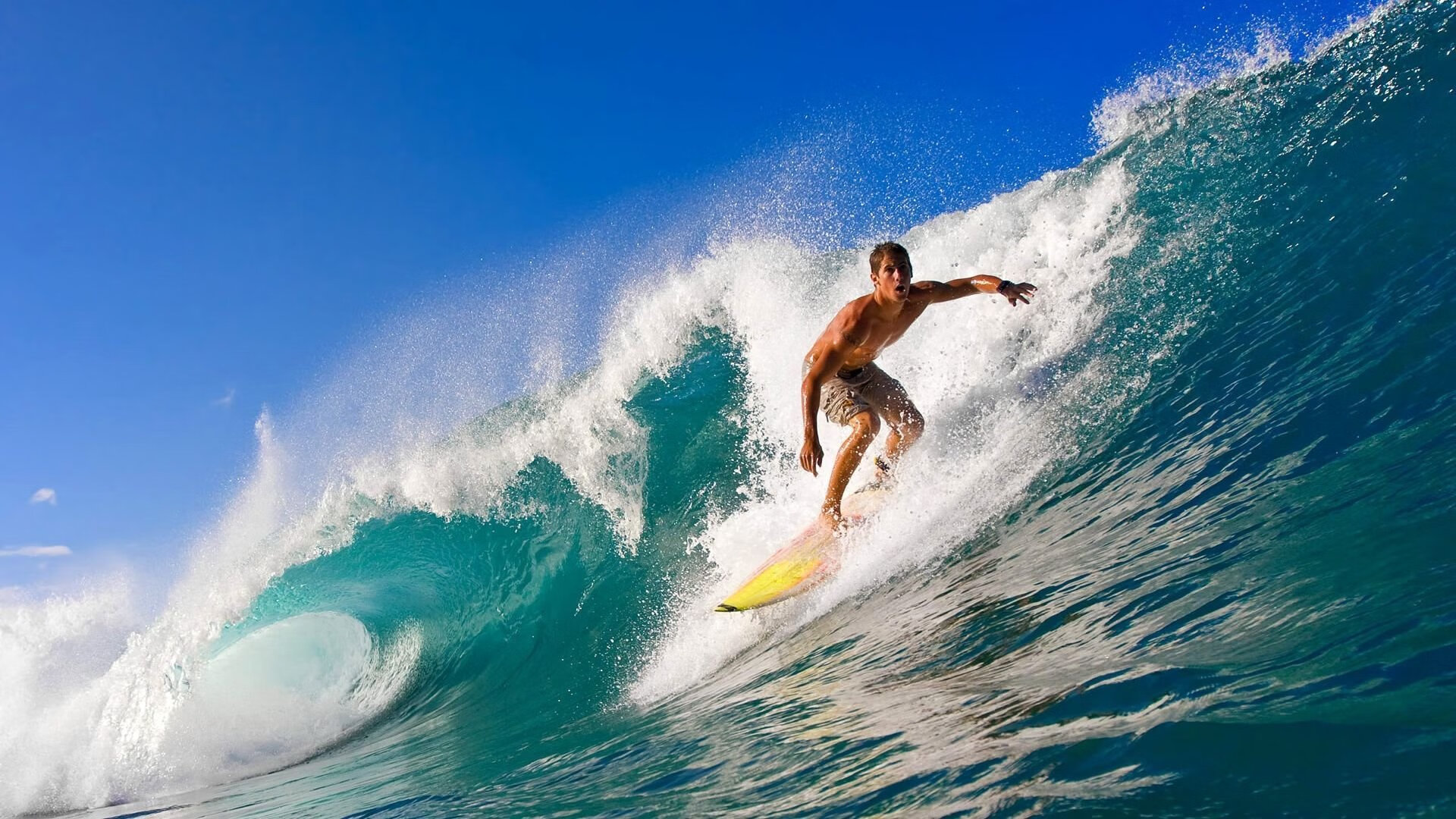 【比赛规则变革】新规出台，运动员如何应对？，比赛规则怎么规定